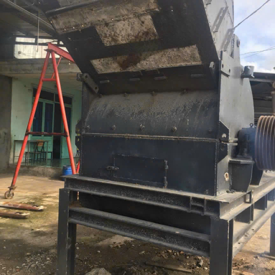 HOẠT ĐỘNG CỦA ĐỒNG ĐẠI PHÁT