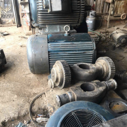 HOẠT ĐỘNG CỦA ĐỒNG ĐẠI PHÁT